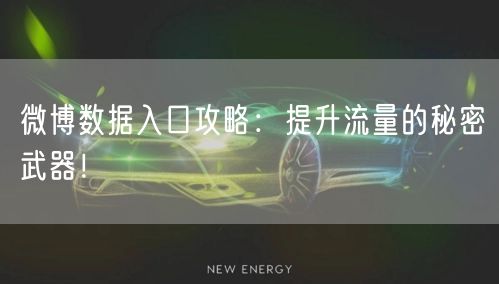 微博数据入口攻略:提升流量的秘密武器!