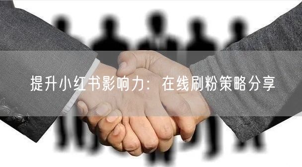 提升小红书影响力:在线刷粉策略分享