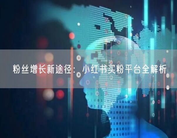 粉丝增长新途径:小红书买粉平台全解析