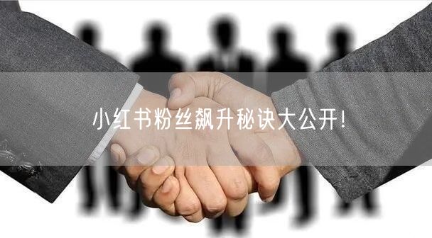 小红书粉丝飙升秘诀大公开!